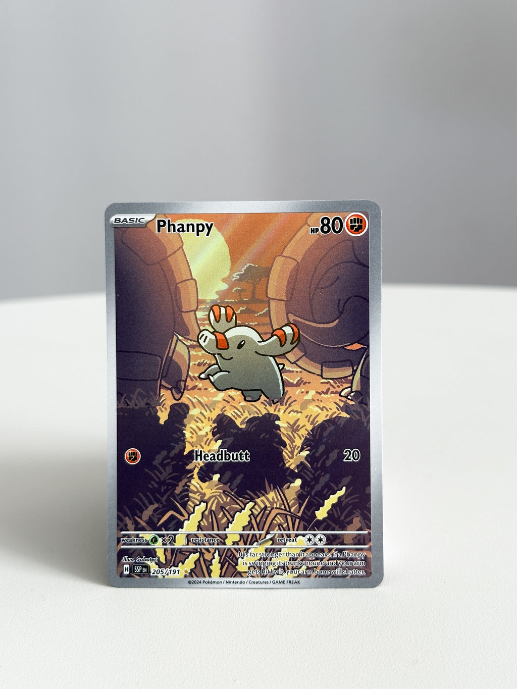 Phanpy Illustration Rare 205