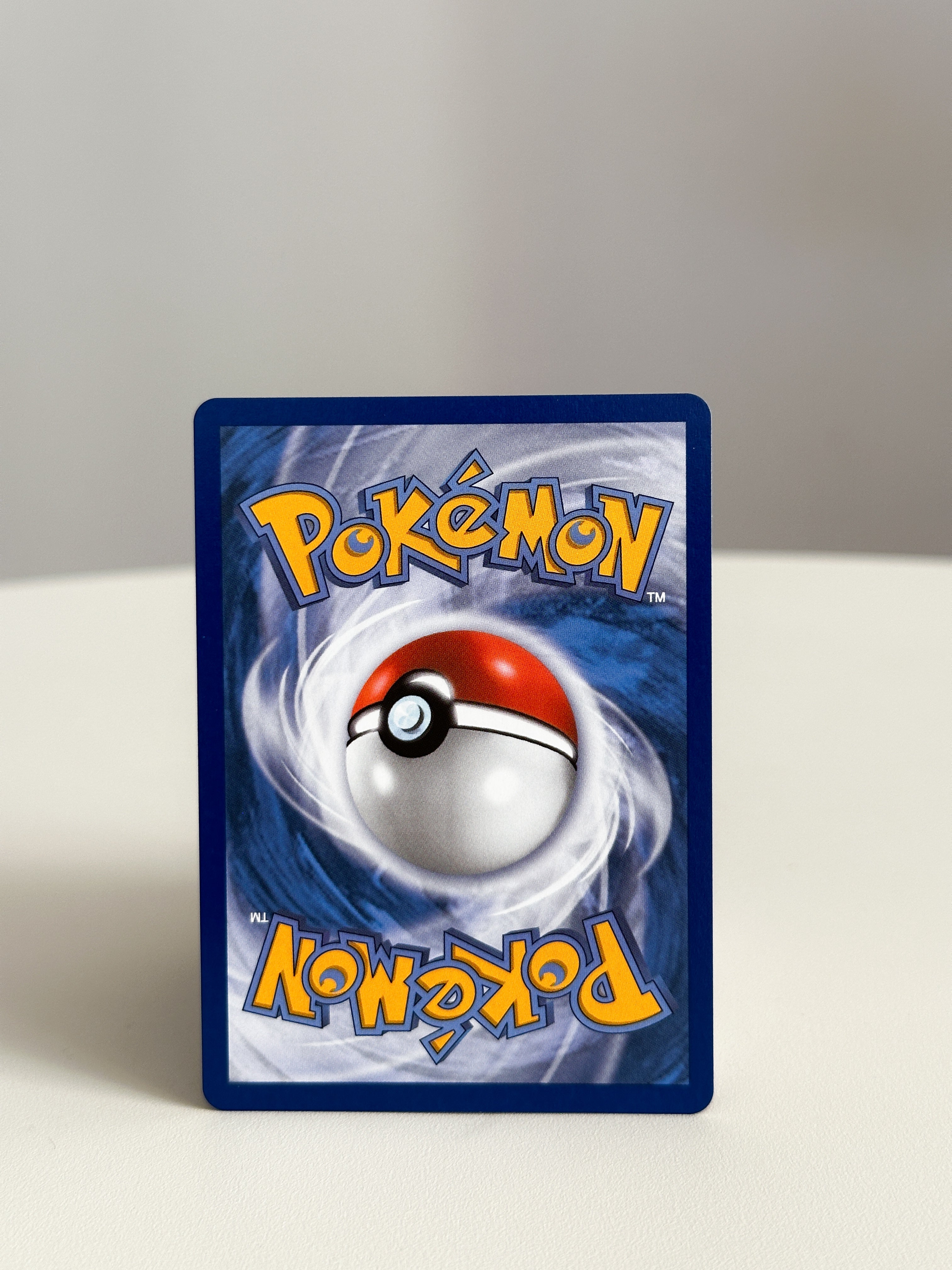 Chimchar Special Art 041