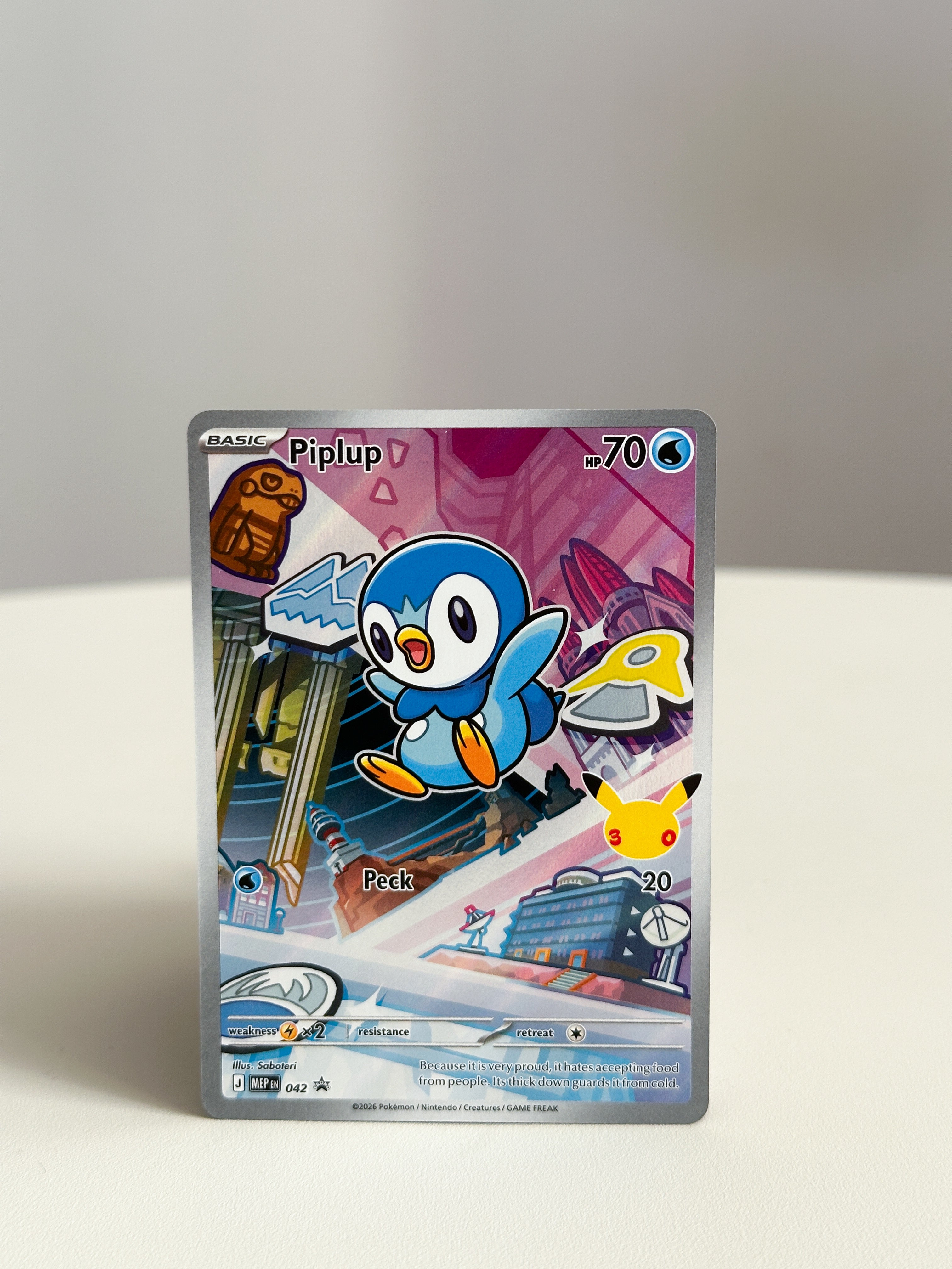 Piplup Special Art 042
