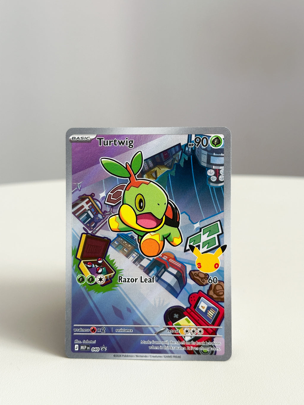 Turtwig Special Art 040